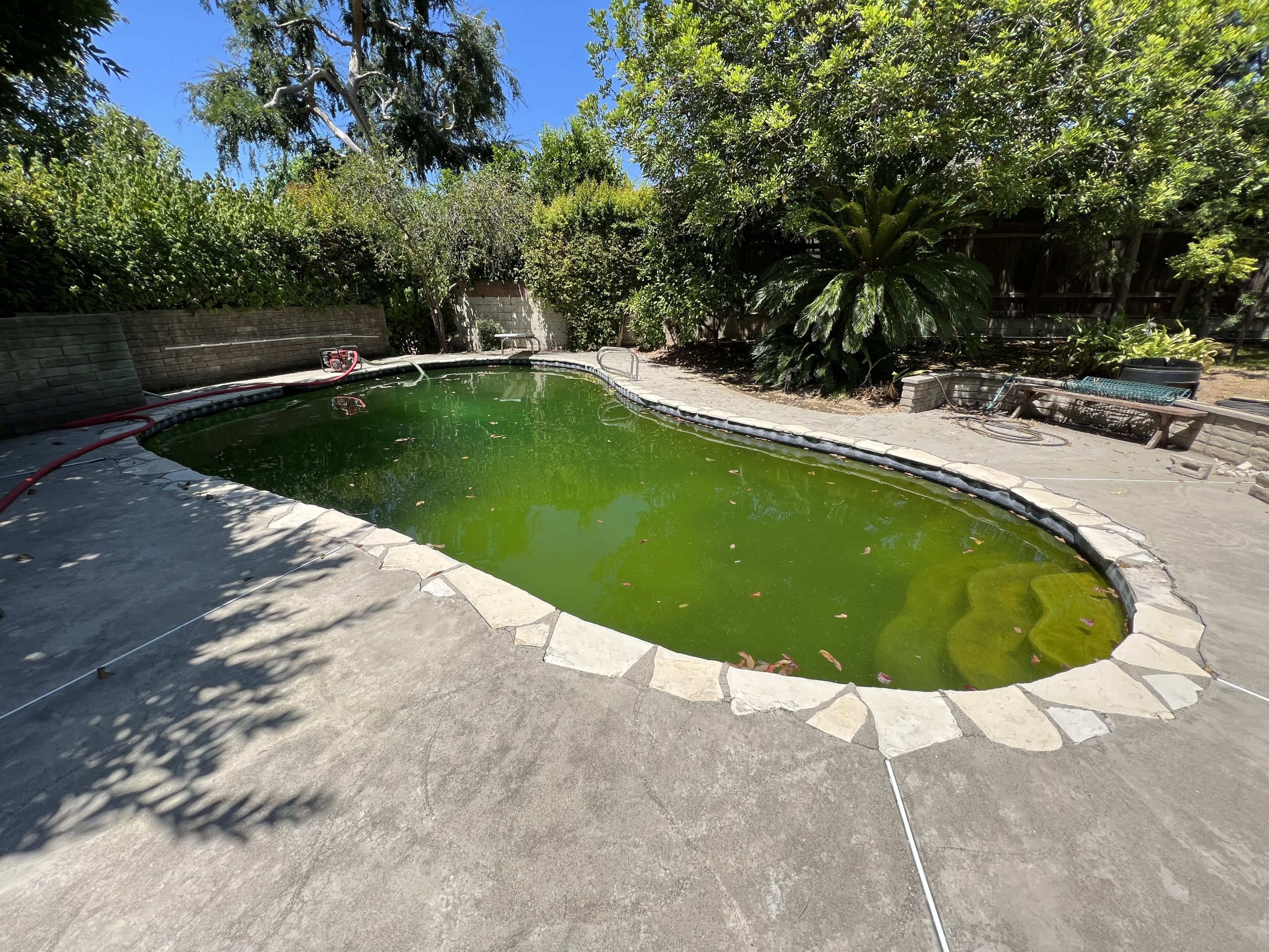 old pool in Los Angeles